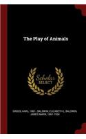 The Play of Animals