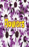 All About Flowers