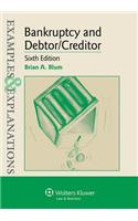 Examples & Explanations for Bankruptcy and Debtor Creditor