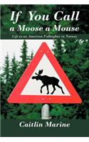 If You Call a Moose a Mouse: Life as an American Fulbrighter in Norway