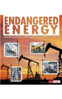 Endangered Energy: Investigating the Scarcity of Fossil Fuels