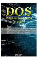 DOS Programming Success in a Day