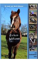 Zirkuslektionen: Zirkuslektionen aus tierärztlicher Sicht(German)