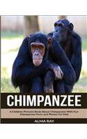 Chimpanzee