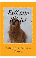 Fall into Winter