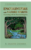 Encounters with Nature Spirits: Co-creating with the Elemental Kingdom