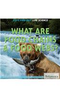 What Are Food Chains & Food Webs?: (Let's Find Out! Life Science)