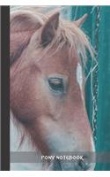 pony notebook