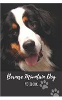 Bernese Mountain Dog Notebook