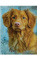 Cute Toller Tolling Retriever Dog Composition Notebook, Wide Ruled: Lined Student Exercise Book