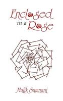 Enclosed in a Rose