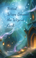 Netted Wisps Beneath the Wizard Curb