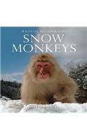 Snow Monkeys