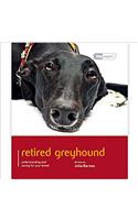 Greyhound