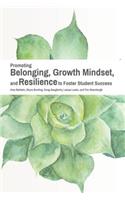 Promoting Belonging, Growth Mindset, and Resilience to Foster Student Success