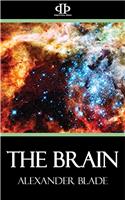 The Brain