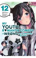 My Youth Romantic Comedy Is Wrong, as I Expected @ Comic, Vol. 12 (Manga)