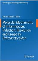 Molecular Mechanisms of Inflammation: Induction, Resolution and Escape by Helicobacter pylori