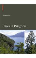 Trees in Patagonia