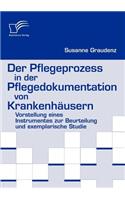 Pflegeprozess in der Pflegedokumentation von Krankenhäusern