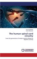 The human spinal cord circuitry