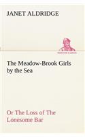 Meadow-Brook Girls by the Sea Or The Loss of The Lonesome Bar