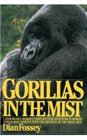 Gorillas in the Mist
