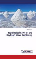 Topological Laws of the Rayleigh Wave Scattering