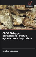 ChOG Ostryga normandzka