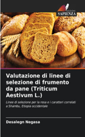 Valutazione di linee di selezione di frumento da pane (Triticum Aestivum L.)