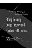 Strong Coupling Gauge Theories and Effective Field Theories, Proceedings of the 2002 International Workshop