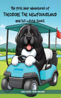 First Year Adventures Of Theodore The Newfoundland And His White Socks