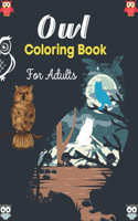Owl Coloring Book For Adults