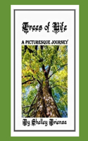 Trees of Life: A Picturesque Journey