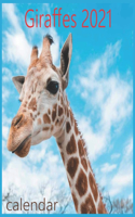 Gira&#64256;es Calendar: 2021 Giraffes Wall Calendar by cute animals, 12 Month 8.5 x 8.5 Inch, Safari Wild Animal Collection