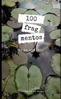 100 fragmentos de un ojo gris