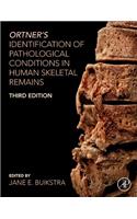 Ortner's Identification of Pathological Conditions in Human Skeletal Remains