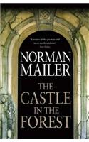 The Castle in the Forest