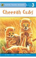 PYR LV 3 : Cheetah Cubs