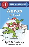 Aaron is Cool: (Step into Reading)