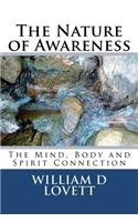 Nature of Awareness