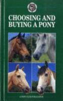 Choosing and Buying a Pony