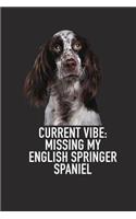 Current Vibe: Missing My English Springer Spaniel: A 6x9 Inch Matte Softcover Diary Notebook with 120 Blank Lined Pages and an Animal Loving Pet Dog Owner Cover S