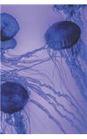 Blue Jellyfish Journal