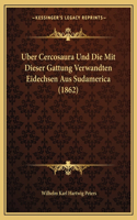 Uber Cercosaura Und Die Mit Dieser Gattung Verwandten Eidechsen Aus Sudamerica (1862)