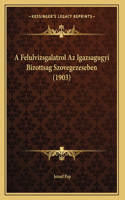 A Felulvizsgalatrol Az Igazsagugyi Bizottsag Szovegezeseben (1903)