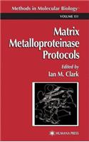 Matrix Metalloproteinase Protocols. Methods in Molecular Biology, Volume 151.: (Methods in Molecular Biology)