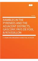 Rambles in the Pyrenees and the Adjacent Districts, Gascony, Pays de Foix, & Roussillon: (English)