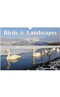 Birds & Landscapes / UK-Version 2017