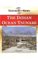 Indian Ocean Tsunami